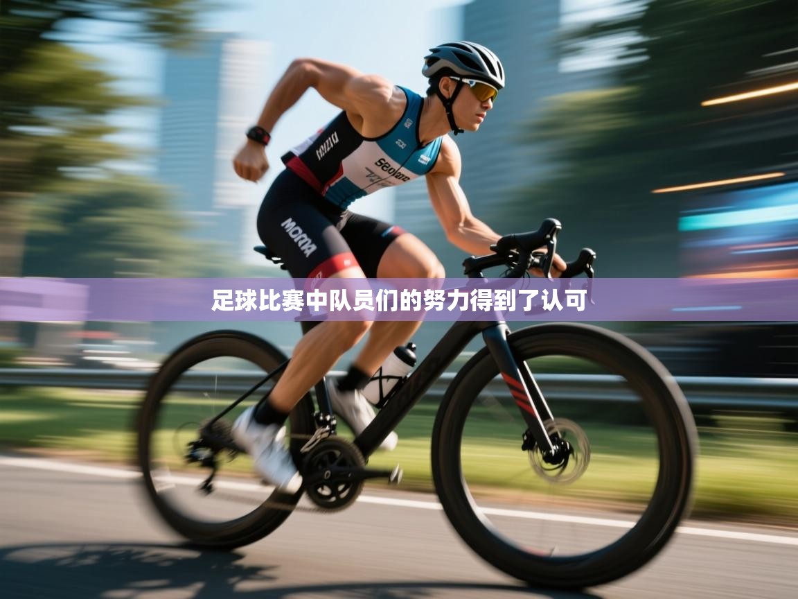 足球比赛中队员们的努力得到了认可  第2张